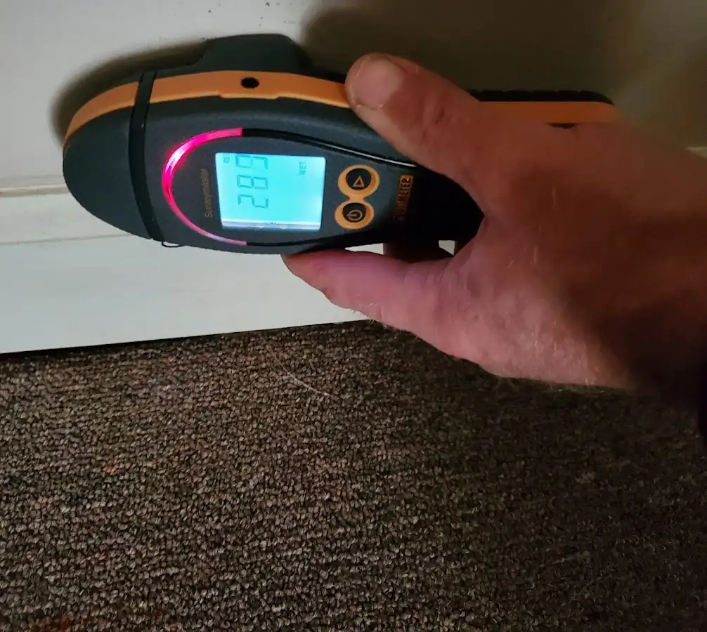 Moisture detection at baseboard during Sewage Cleanup & Sanitation in Huntersville